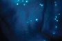 avatar homme