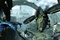 image du film avatar 3
