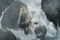 nouvelle photo d avatar h  licopt  re dans le ciel