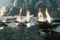 photo du film avatar 1