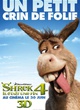 BANNER DONKEY 40x60 BD 31 copy