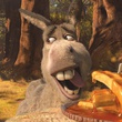 shrek 4 11 4597890bynql 1798