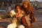heath ledger lily cole