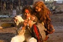 heath ledger lily cole