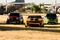 Bumblebee entour   de ses amis