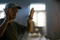 david fincher