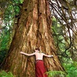 freddie highmore copain avec un arbre