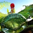 photo du film arthur et la vengeance de maltazard