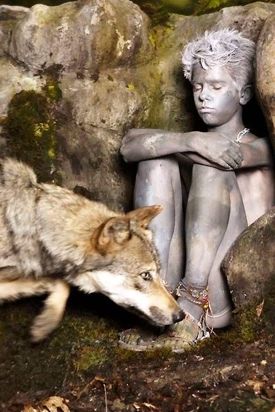 un loup passant devant freddie highmore