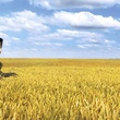 le mechant dans arthur