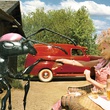 penny balfour