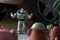 buzz apaisant ses amis