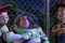jessie buzz l   clair woody
