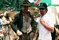 harrison ford steven spielberg