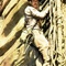 harrison ford - Indiana Jones et le temple maudit 