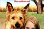 Affiche du film Winn-Dixie, mon meilleur ami
