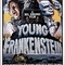 Affiche du film Frankenstein Junior - Frankenstein Junior 