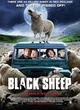Affiche du film Black Sheep