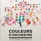 Affiche du film Couleurs d'orchestre - Couleurs d'orchestre 