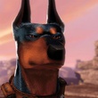 Chien méchant