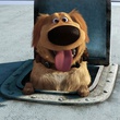 Dug, le chien
