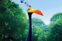 L'oiseau