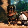 Les deux chiens méchants