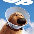 Up - A Pixar animation movie - Poster teaser Dug, the dog