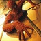 Affiche du film Spider-Man - Spider-Man 