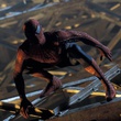 spider-jpg