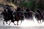 des mages noirs
