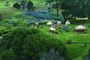 hobbitbourg