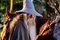 mckellen ian