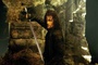 viggo mortensen le roi