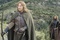 david wenham
