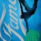 affiche du film fame - Fame (2009) 