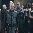 steven mackintosh