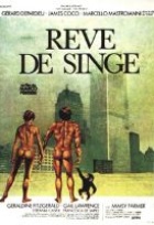 Affiche miniature du film Rêve de singe