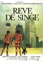 Affiche du film Rêve de singe