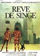 Affiche du film Rêve de singe