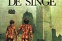 Affiche du film Rêve de singe