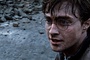 harry-abime-jpg