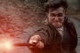 potter-jpg