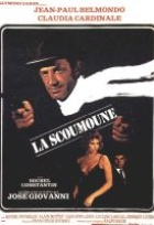 Affiche miniature du film La scoumoune