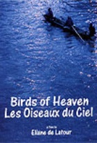 Affiche miniature du film Les oiseaux du ciel