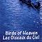 Affiche du film Les oiseaux du ciel - Les oiseaux du ciel 