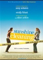 Sunshine Cleaning