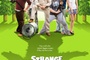 Affiche du film Strange Wilderness