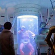harrison ford carrie fisher mark hamill anthony daniels - Star Wars : Episode 5 - l'empire contre attaque