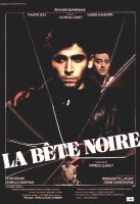 Affiche miniature du film La bête noire